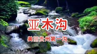 春雨直播app