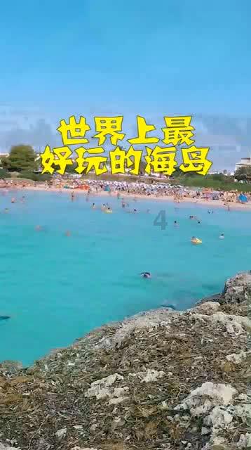 猫猫冒险团