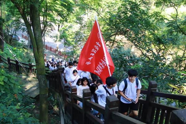 叠方块消消看